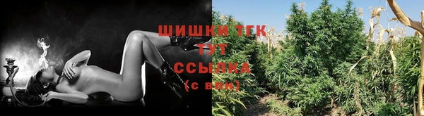 ECSTASY Арсеньев